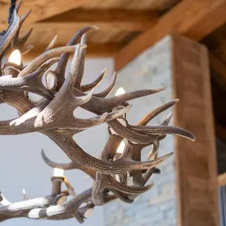 Chalet Solski, Luxe, Jacuzzi, Piscine, Sauna, Cinéma Avec Majordome Les Deux Alpes